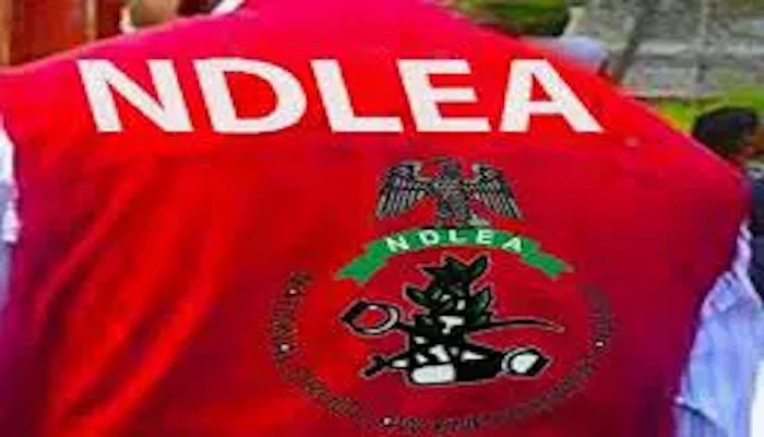 1784484022 NDLEA