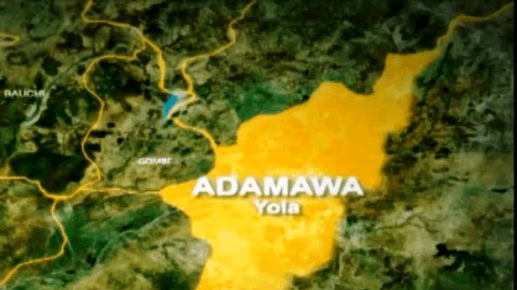 1784721613 Adamawa State map