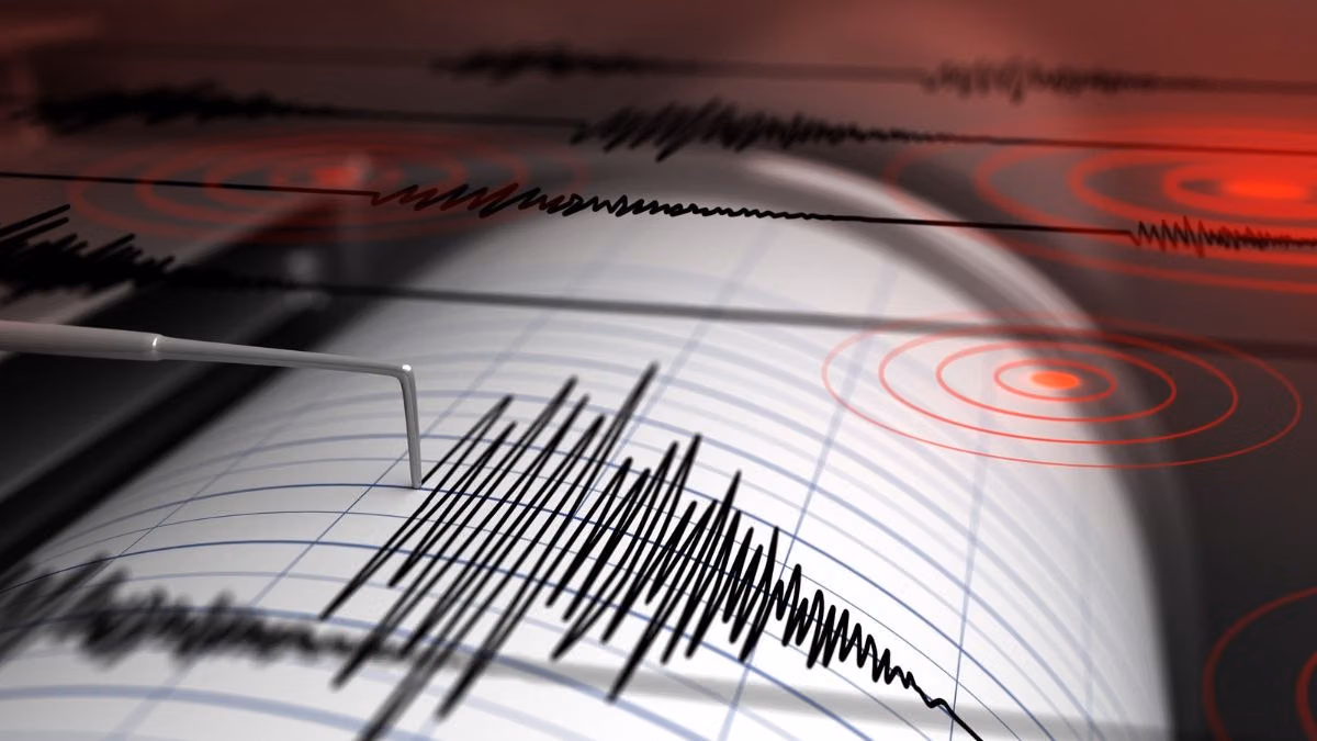 1784768434 earthquake in new zealand 1784202318448