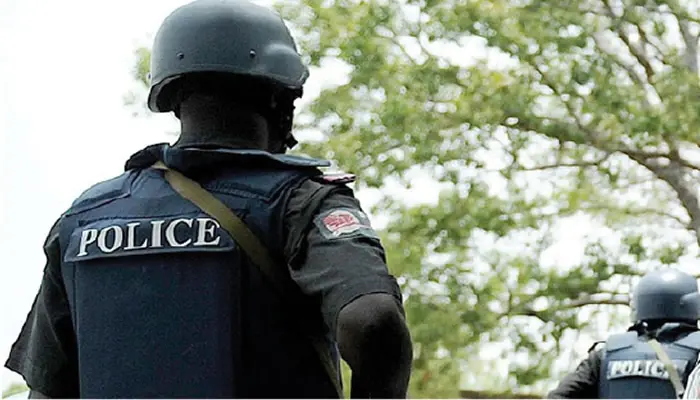 1785057624 A NIGERIAN POLICE OFFICER
