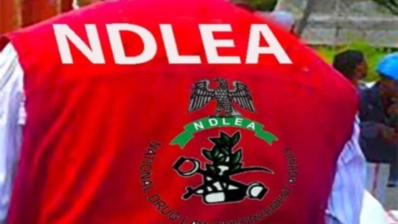 1785063015 NDLEA 1