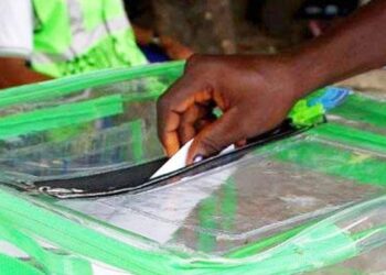 1785135618 INEC voting election 1