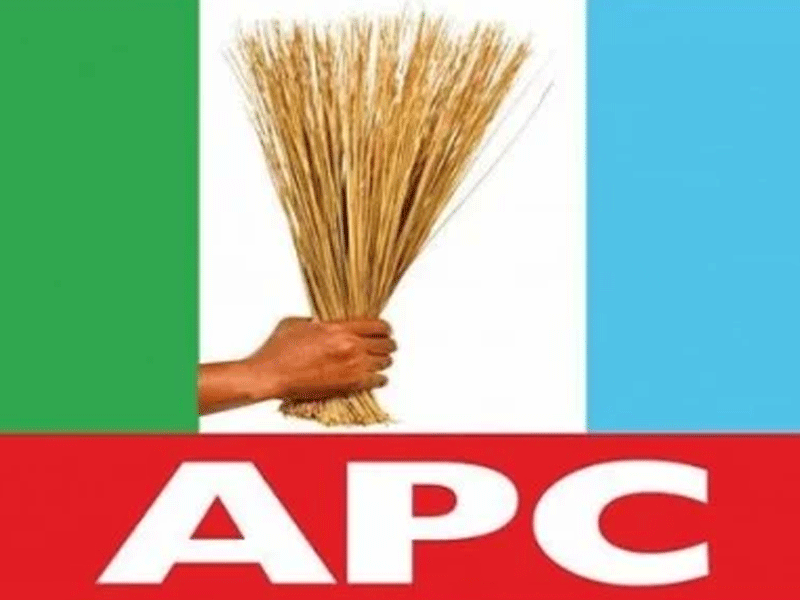 1785273320 APC logo