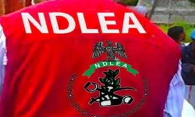 1785415816 NDLEA 1