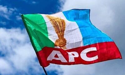 APC flag