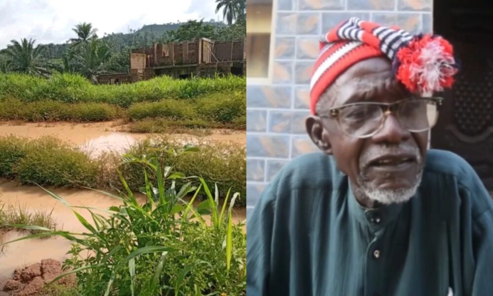 Abia monarch