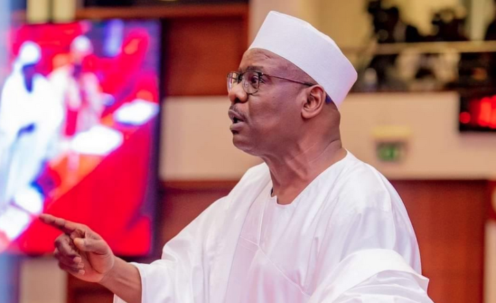 Ali Ndume