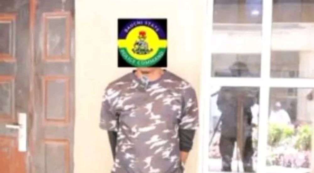 Fake Officer