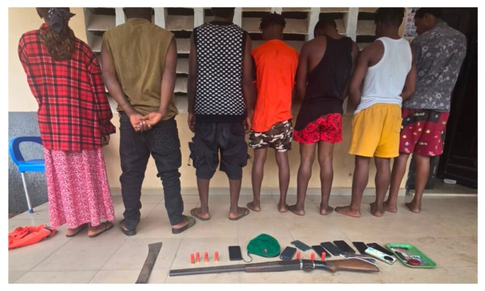 Police arrest seven suspected cultists