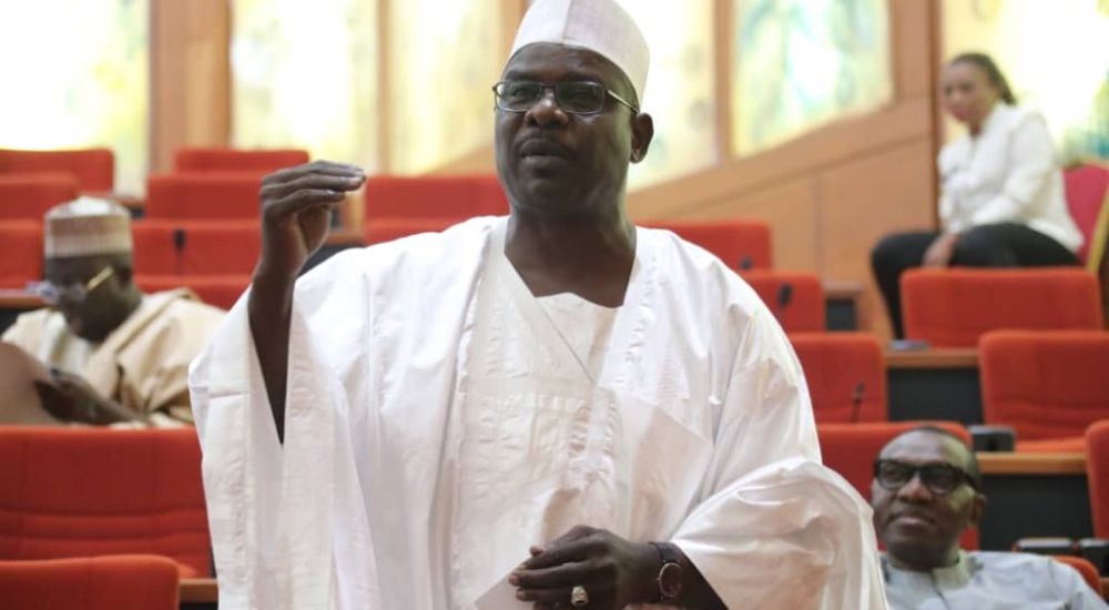Senator representing Borno South Mr Ali Ndume