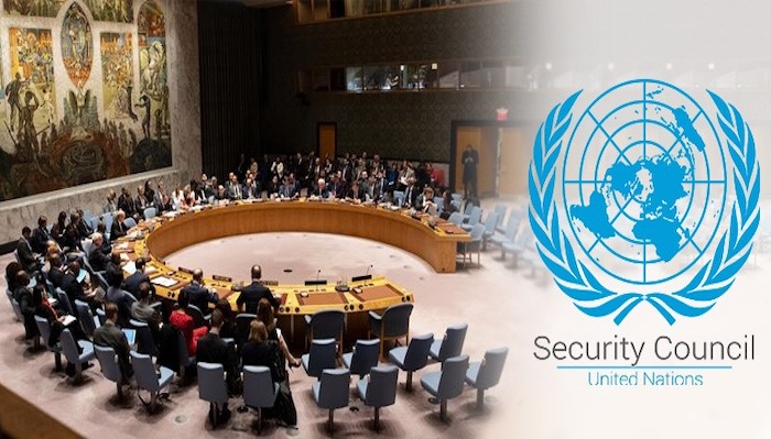 United Nations Security Council