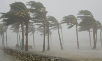 Windstorm