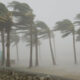 Windstorm