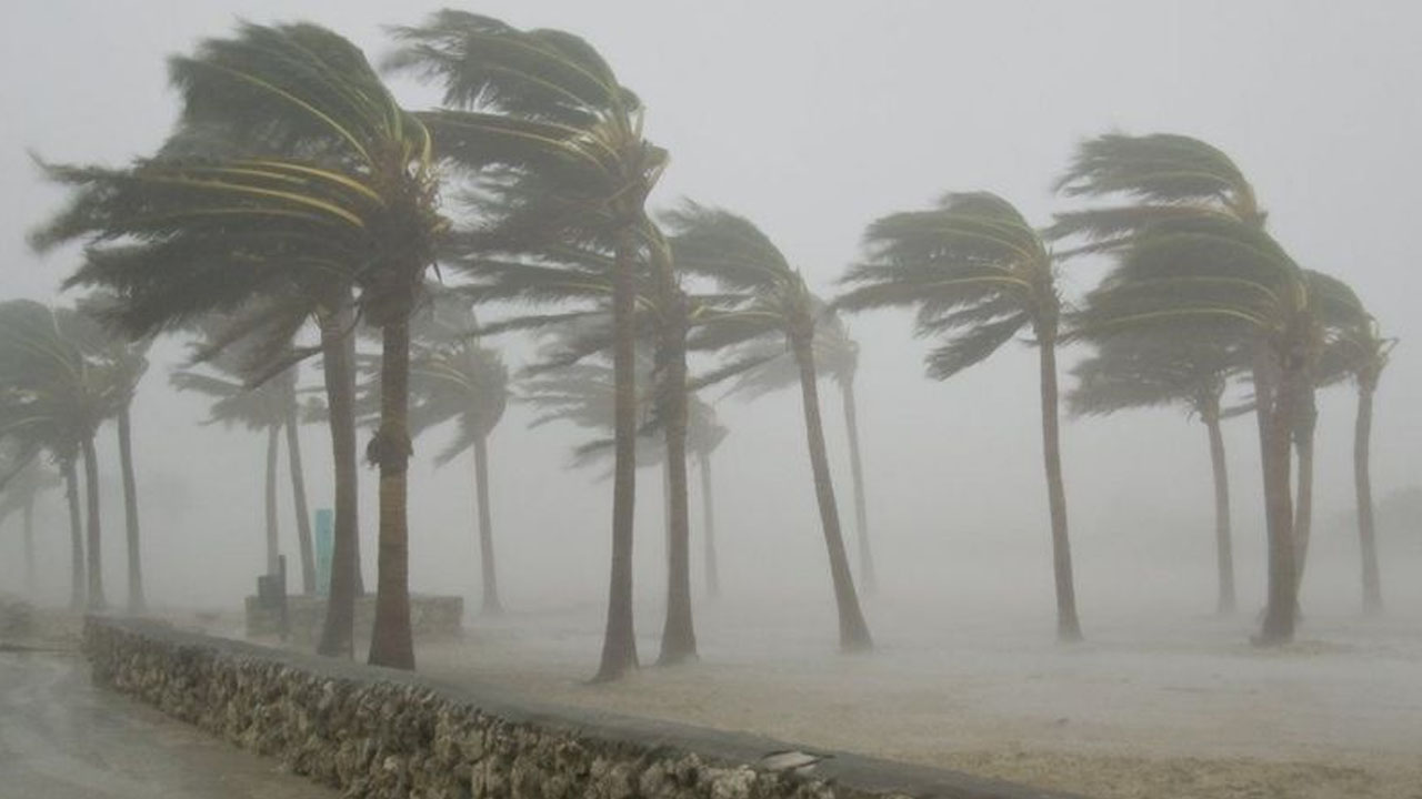 Windstorm