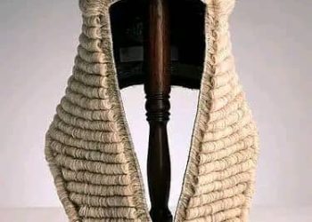 court lawyer wig