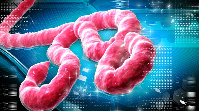 ebola has killed 69 guinea january