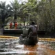 oil spill