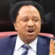 shehu sani 1