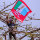 1786366233 APC2