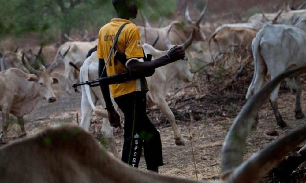 1786429233 herdsmen