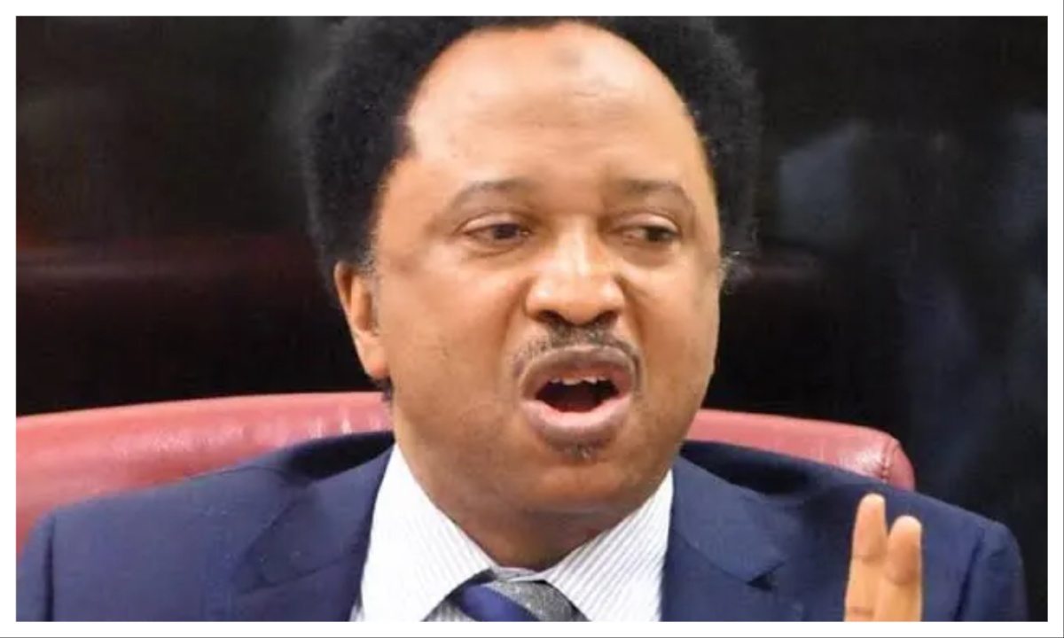 1786533630 Shehu sani