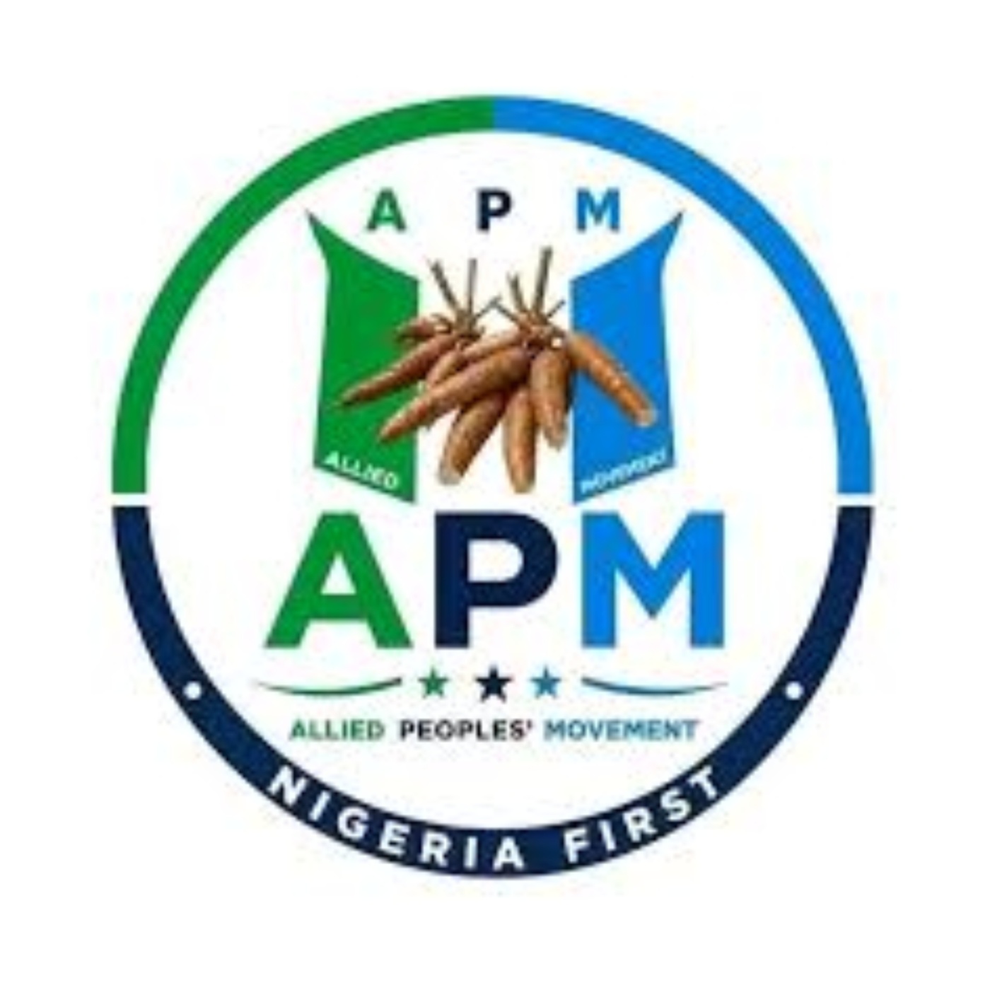 1786648833 APM