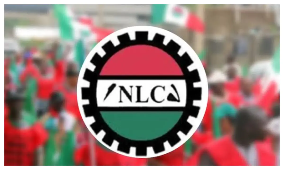 1786720819 NLC