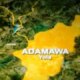 1787427015 adamawa