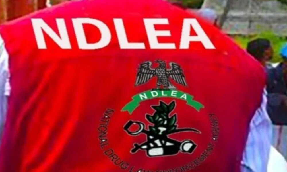 1787481023 NDLEA 1