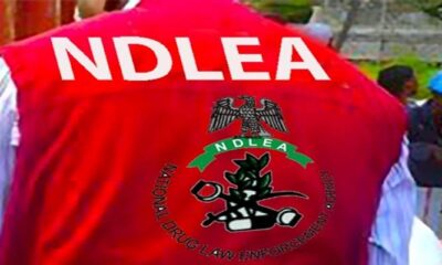 1787497829 NDLEA 1