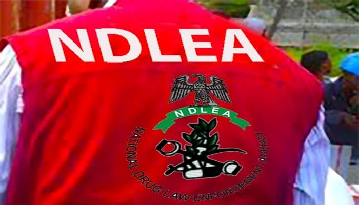 1787497829 NDLEA 1