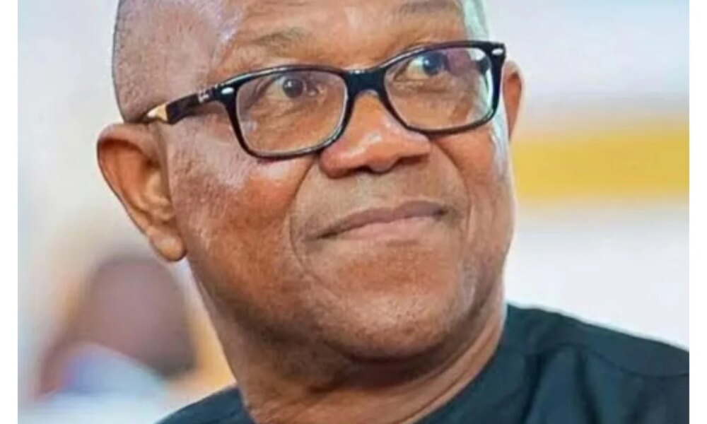 1787911828 Peter Obi 3