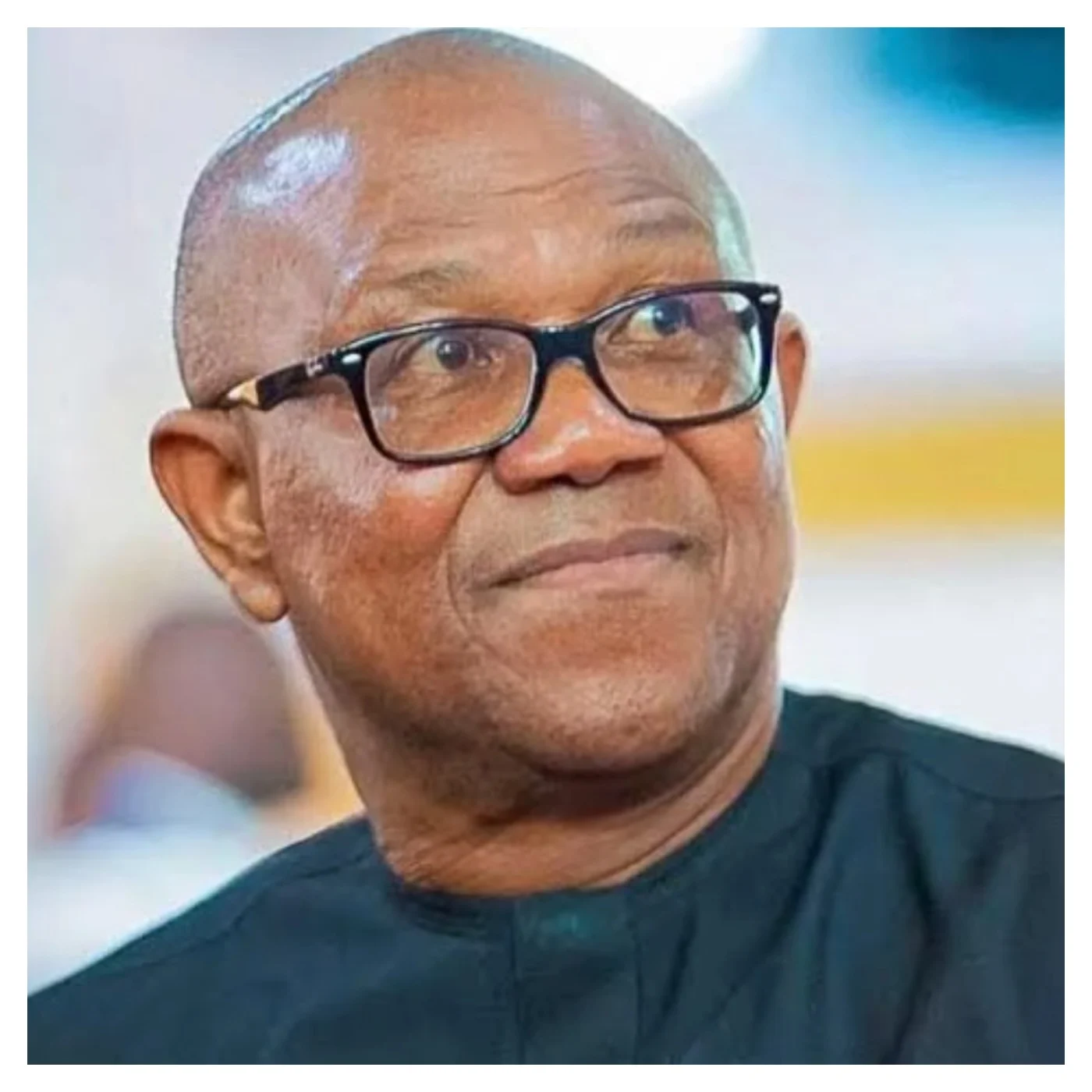 1787911828 Peter Obi 3