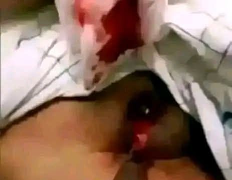 71750 1786291014