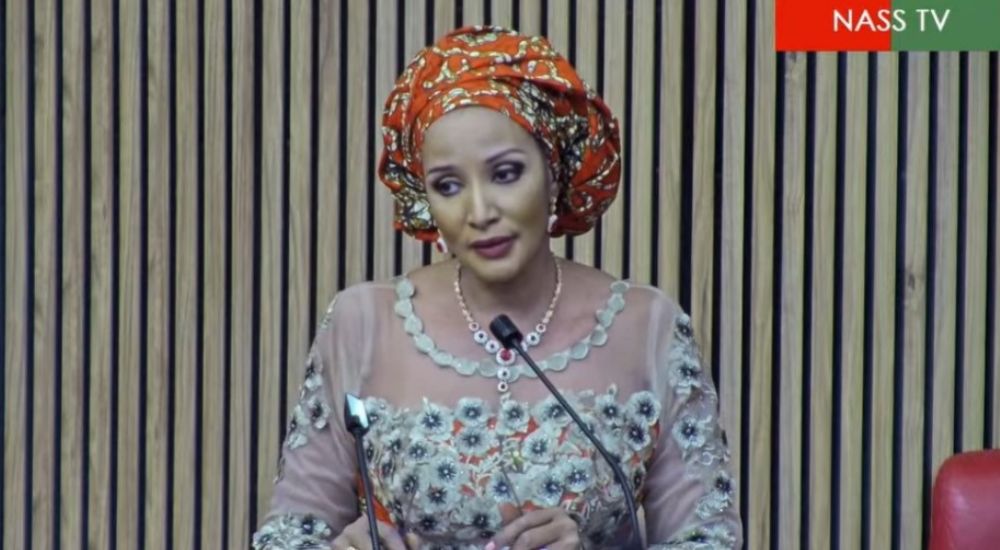 Ambassador Bianca Odumegwu Ojukwu during her ministerial screening