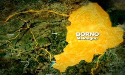 Borno State map