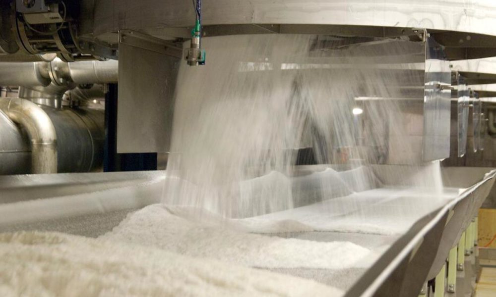 Dangote sugar refinery