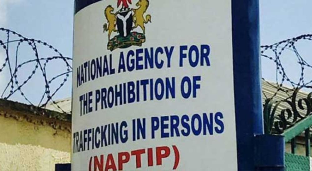NAPTIP 20240516 154404 0000