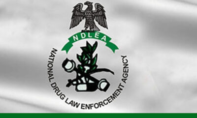 NDLEA 3