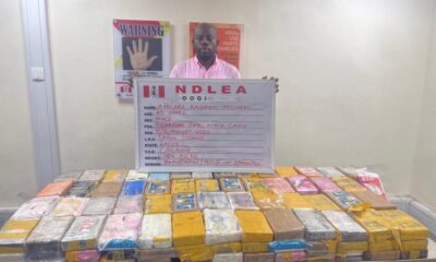 NDLEA arrests Lagos socialite KC Luxury