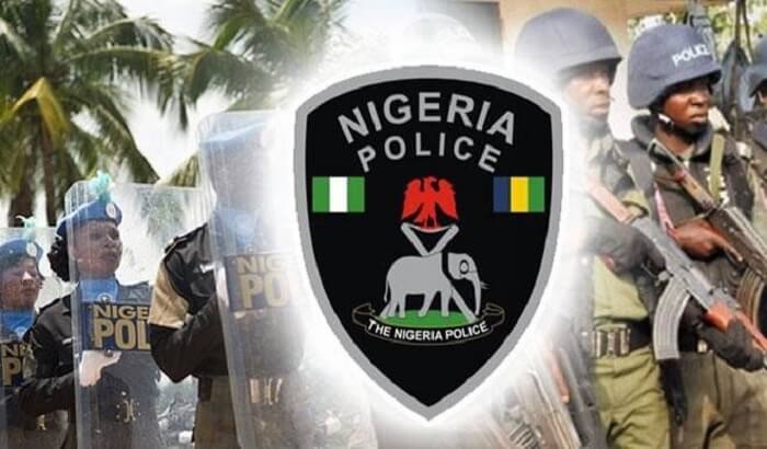 Nigeria Police Force 1