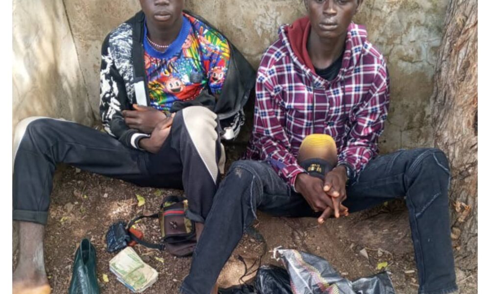 Nigerian military captures two suspected ISWAP collaborators in Borno