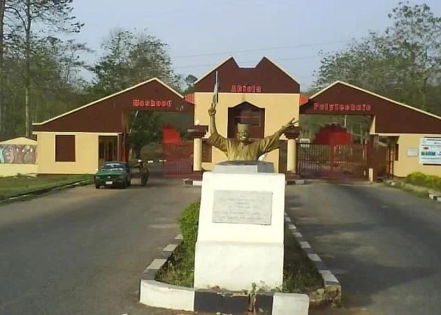 Ox2THHZw mapoly 1785767140