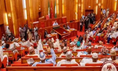 Senate Nigeria 2