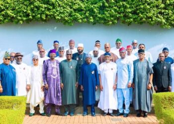 Tinubu and governors 1 1