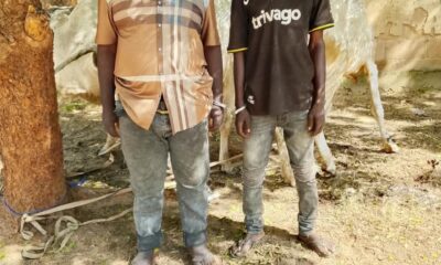 bauchi criminal suspects