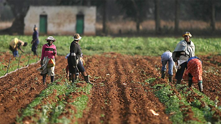 farmers