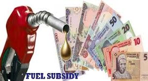 fuel subsidy