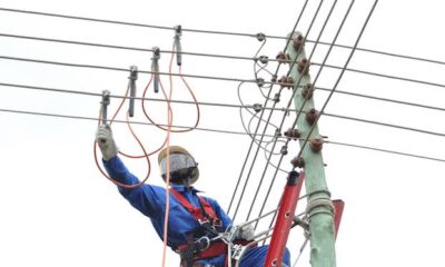 images.jpeg 13