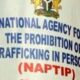 naptip